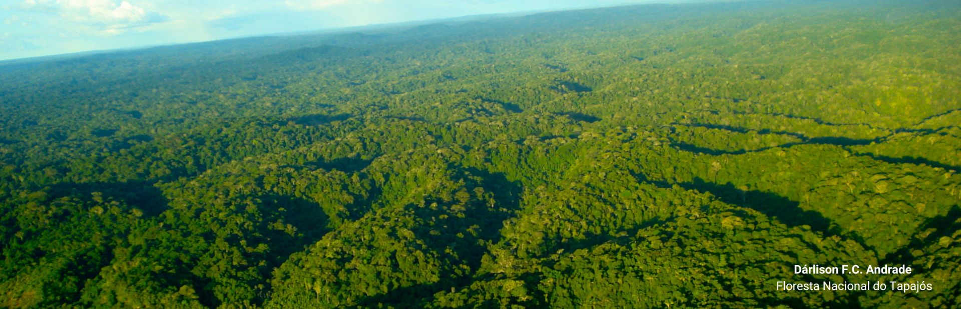 Floresta Nacional do Tapajos