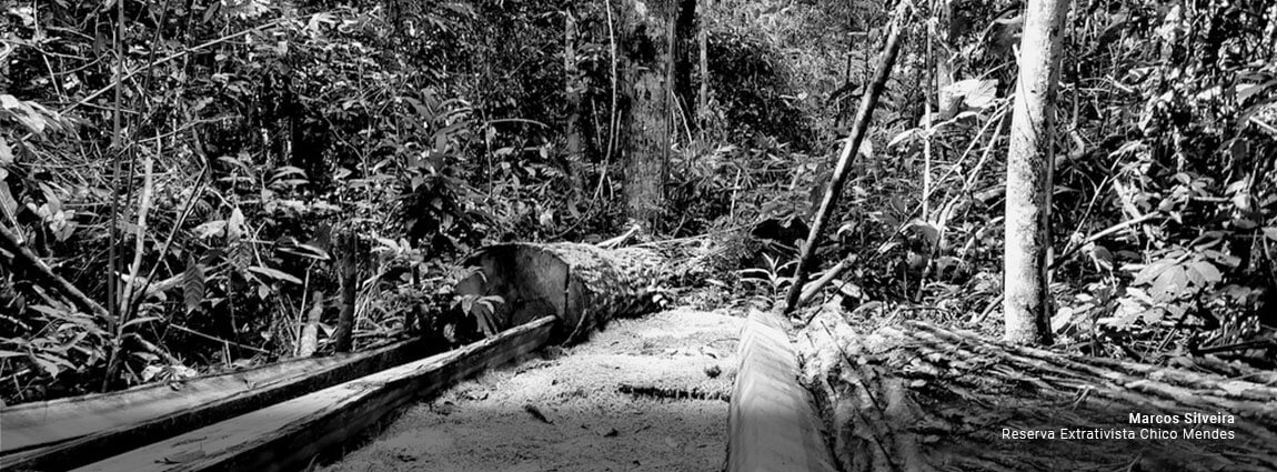 Reserva Extrativista Chico Mendes