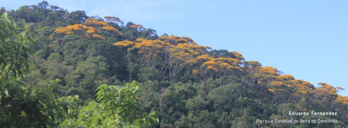 Parque Estadual da Serra da Concórdia