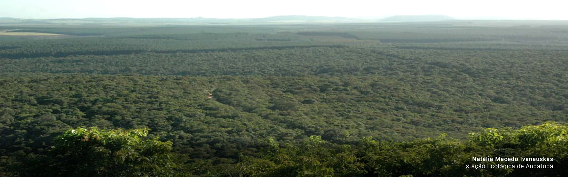 Estacao Ecologica de Angatuba