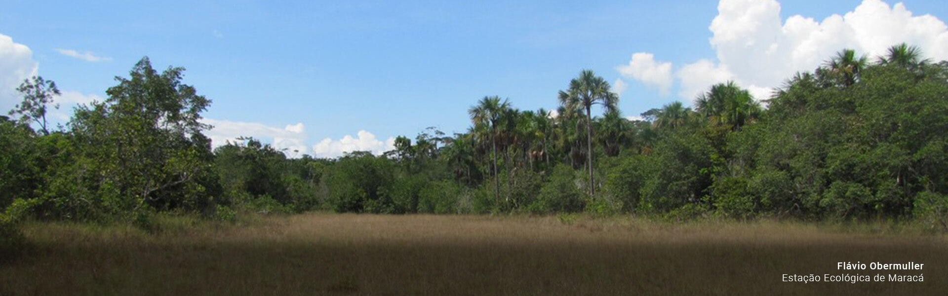 Estacao Ecologica de Maraca