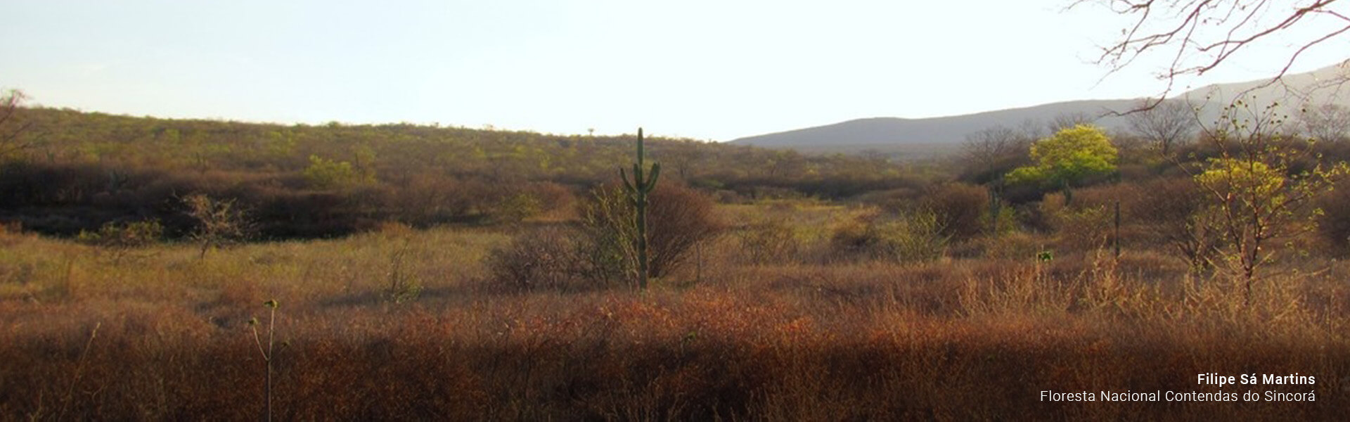 Floresta Nacional Contendas do Sincora