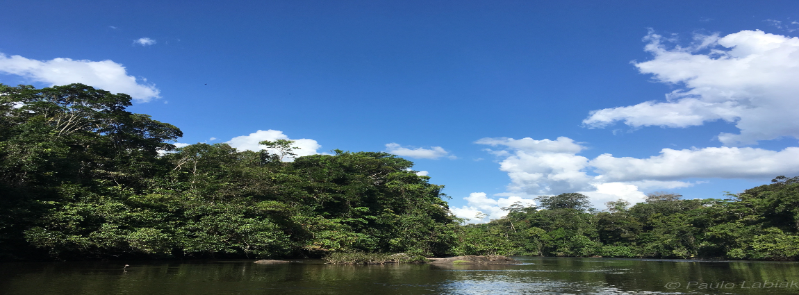 Parque Nacional Montanhas do Tumucumaque