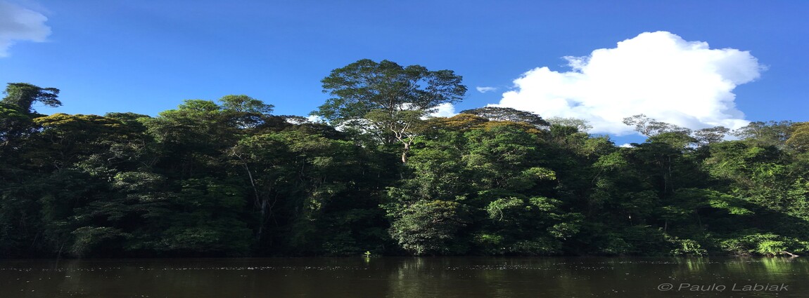 Parque Nacional Montanhas do Tumucumaque