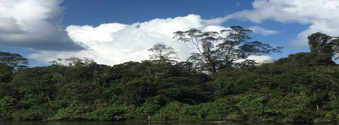 Parque Nacional Montanhas do Tumucumaque