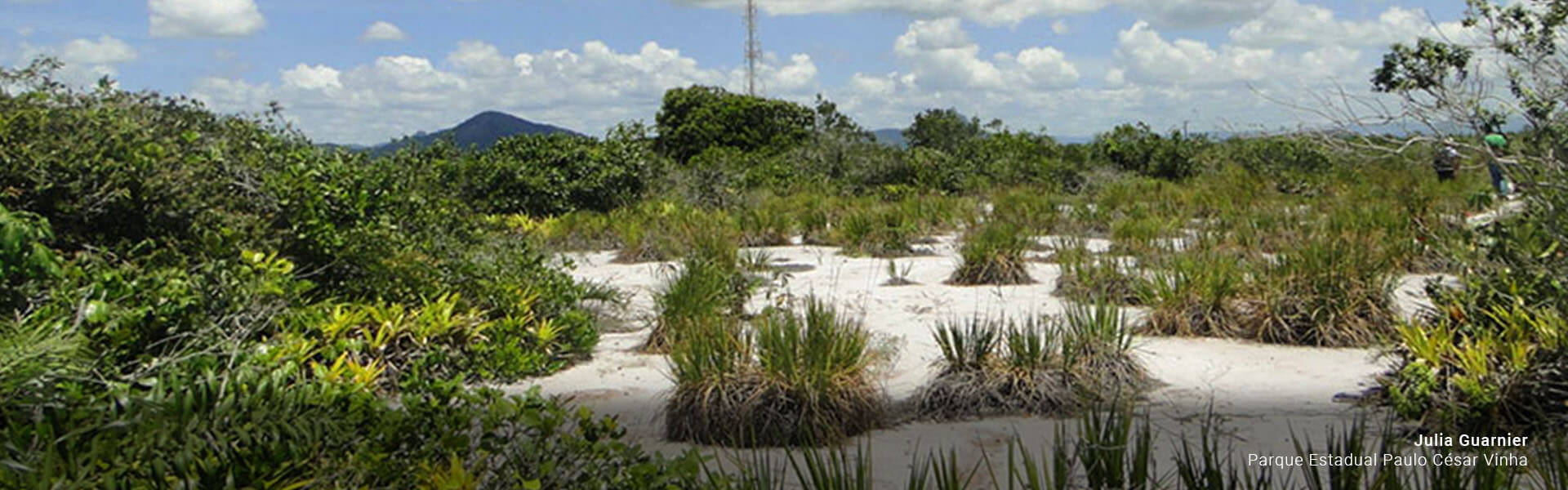 Parque Estadual Paulo Cesar Vinha