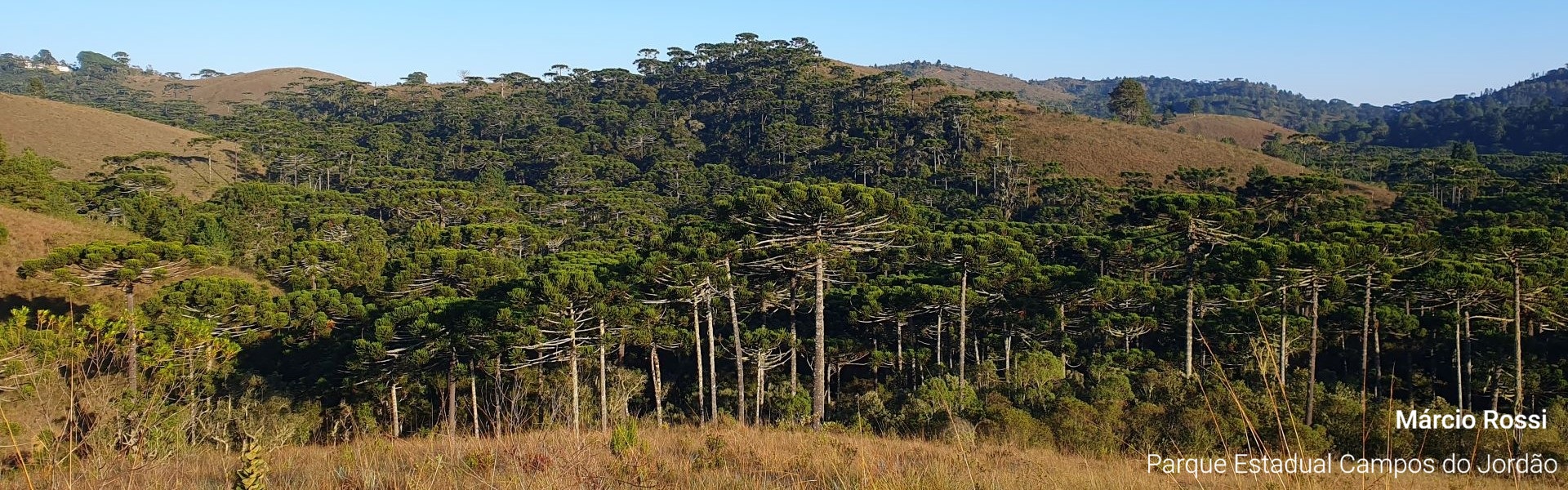 Parque Estadual de Campos do Jordao