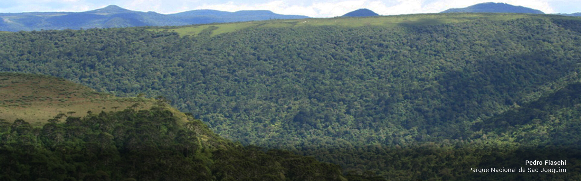 Parque Nacional de Sao Joaquim