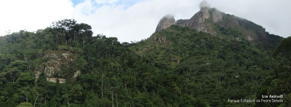 Pedra Selada Florestal