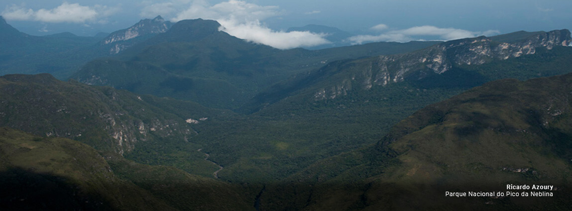 Parque Nacional do Pico da Neblina