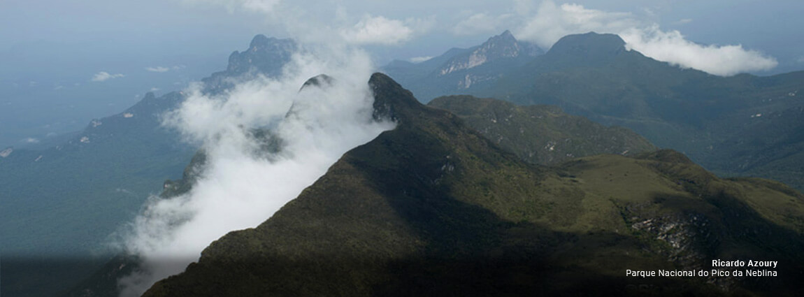 Parque Nacional do Pico da Neblina