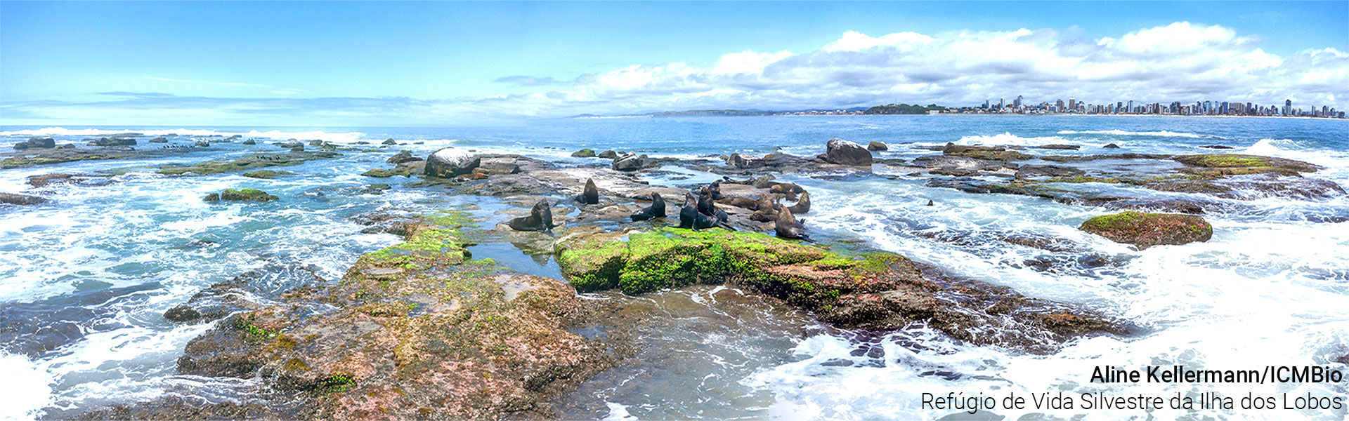 Refugio de Vida Silvestre da Ilha dos Lobos