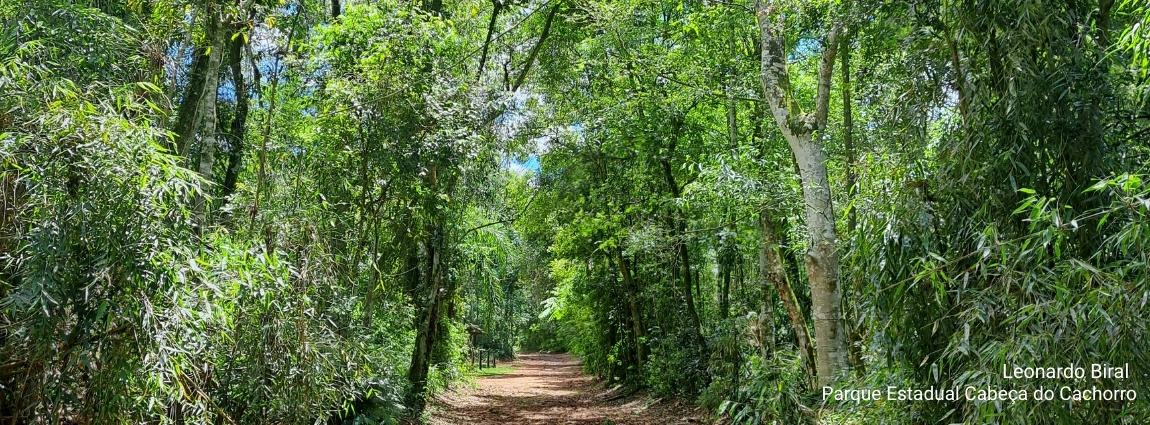 Parque Estadual Cabeça do Cachorro
