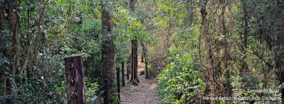 Parque Estadual Cabeça do Cachorro
