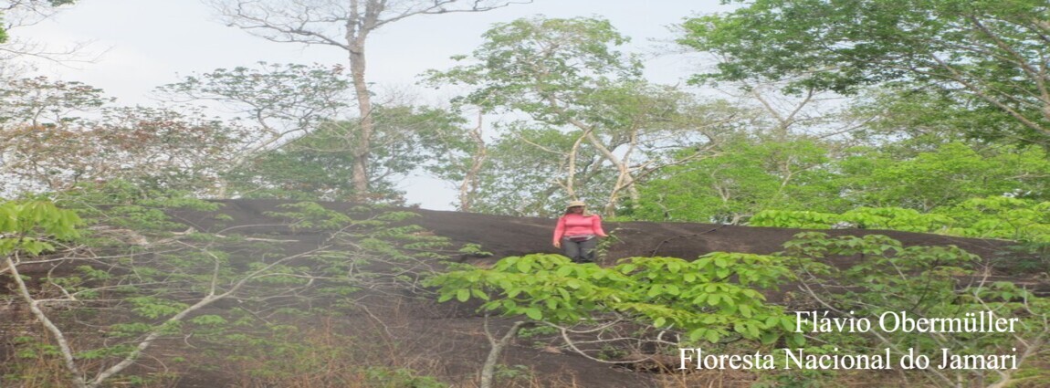 Floresta Nacional do Jamari