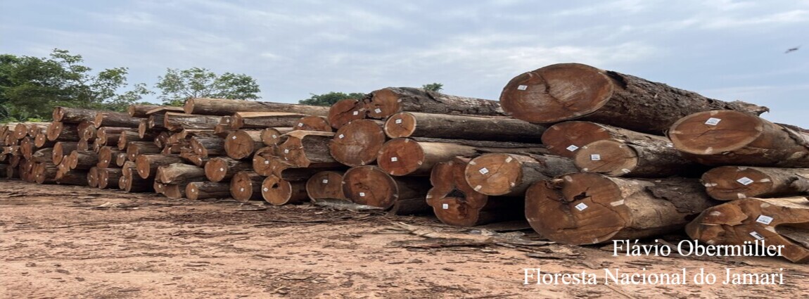 Floresta Nacional do Jamari
