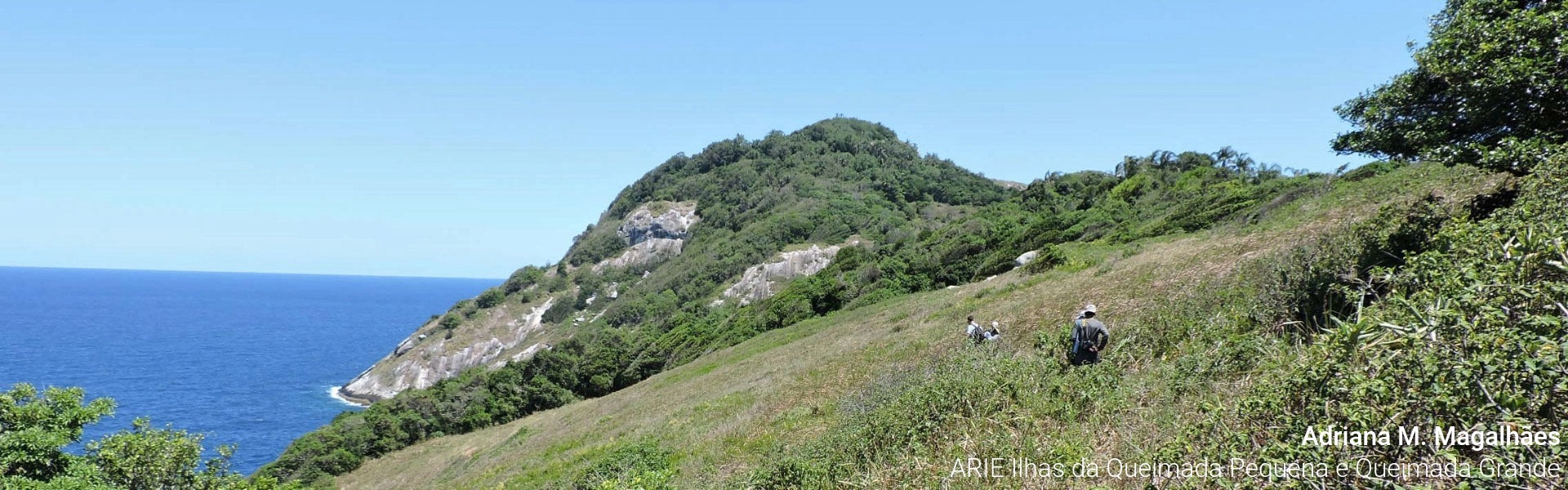 Area de Relevante Interesse Ecologico Ilhas da Queimada Pequena e Queimada Grande_PT.jpeg
