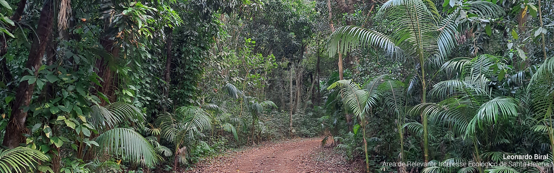 Area de Relevante Interesse Ecologico de Santa Helena