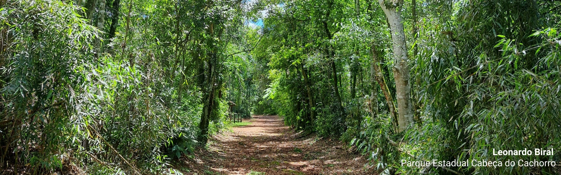 Parque Estadual Cabeça do Cachorro